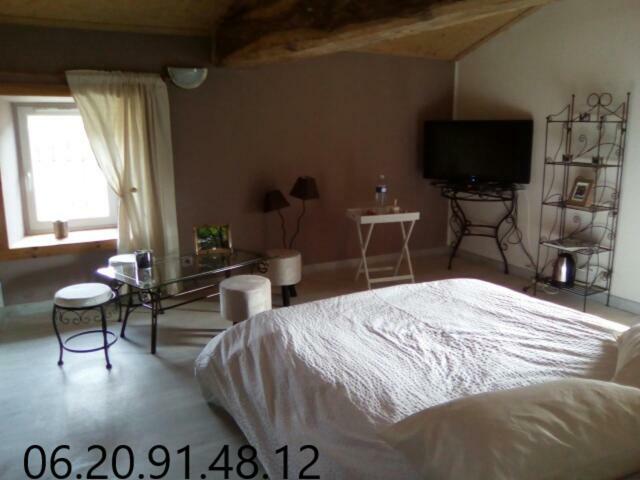 Chambres D'Hotes "La Source" Mareuil-sur-Lay Buitenkant foto